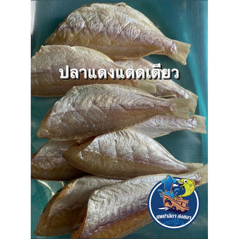 ปลาแดงแดดเดียว สดใหม่ทุกวัน แพ็ค 500 กรัม (ฮาลาล)