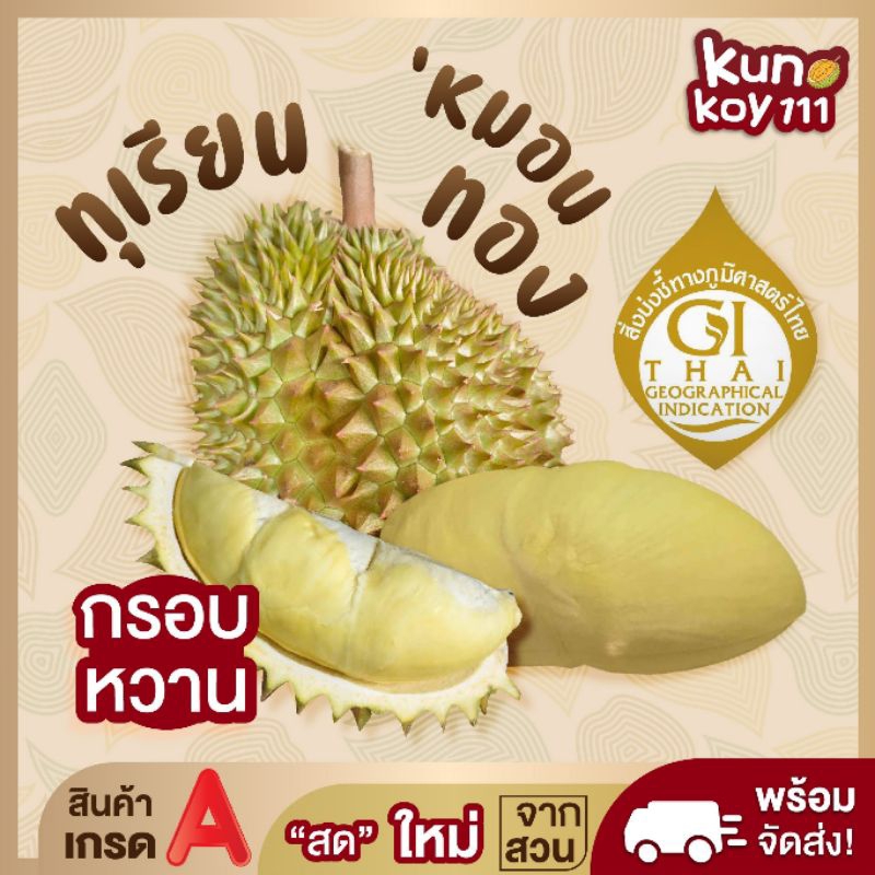 🌟(พร้อมส่ง)💥ทุเรียนหมอนทอง💥(หมอนจิ๋ว) 👉 เน้นเนื้อไม่เน้นทรง💥 ขายเป็นลูก🍈 ❌📣 💥 รับประกันเนื้อทุกลูก✓✓
