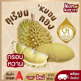 🌟(พร้อมส่ง)💥ทุเรียนหมอนทอง💥(หมอนจิ๋ว) 👉 เน้นเนื้อไม่เน้นทรง💥…