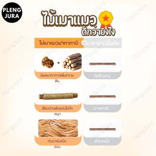 มี 3 แบบ ไม้แมวเมามาทาทาบิ matatabi stick แคทนิปญี่ปุ่น ขัดฟันแมว กัญชาแมวมาทาบิ ของเล่นสำหรับแมว ไม้ขัดฟันก้านมาทาทาบิ