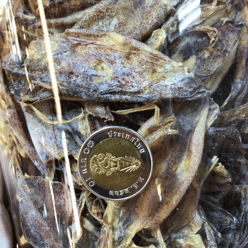 หมึกกะตอยตากแห้ง - Dried Squid