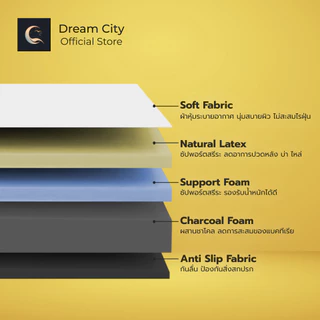 [รับประกัน 10 ปี] Dreamcity [แพ็คใส่กล่อง]ที่นอนยางพาราแท้ 100% รุ่น NOVA ขนย้ายง่ายช่วยลดอาการปวดหลังได้ดี