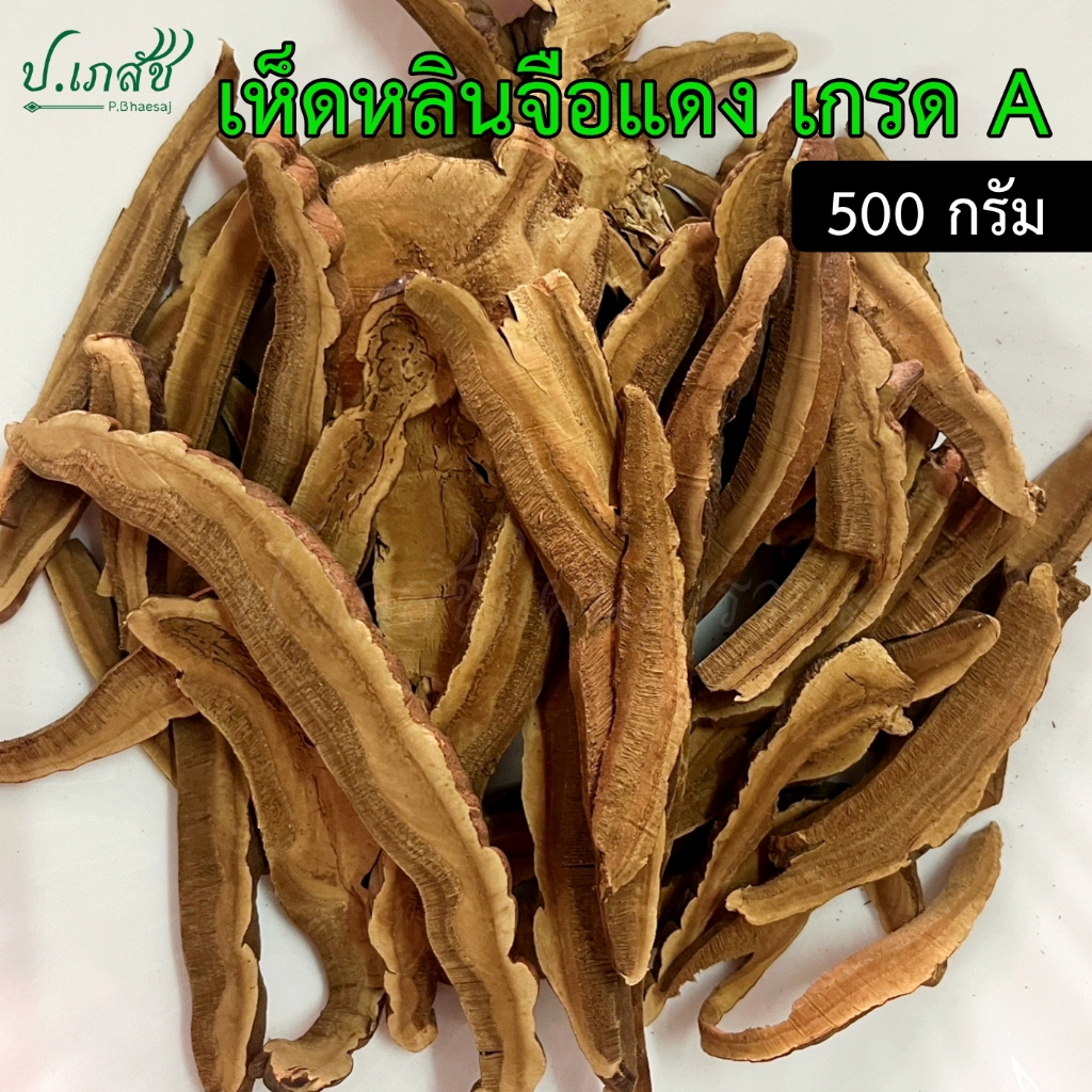 เห็ดหลินจือแดง เกรด A ของจีนแท้ [500 กรัม] เห็ดหลินจือแดงแห้ง เห็ดหลินจือ