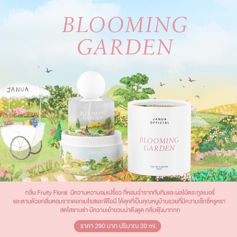 รูปภาพ 8