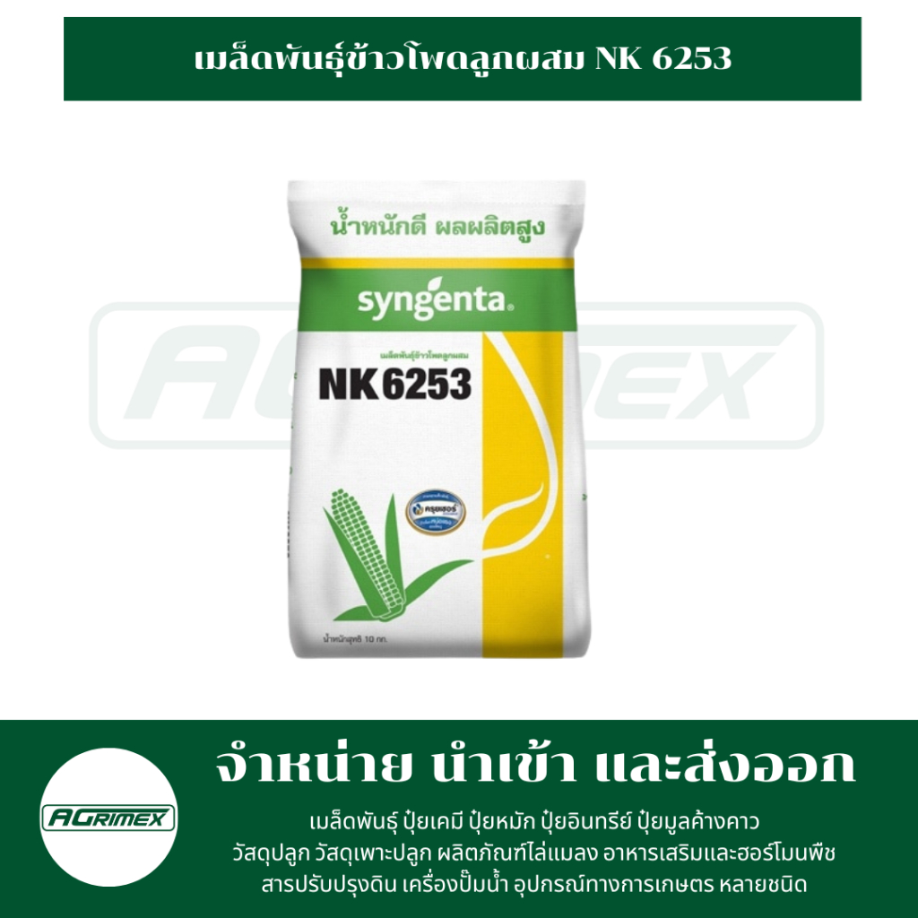 เมล็ดพันธุ์ข้าวโพดลูกผสม NK6253 10kg