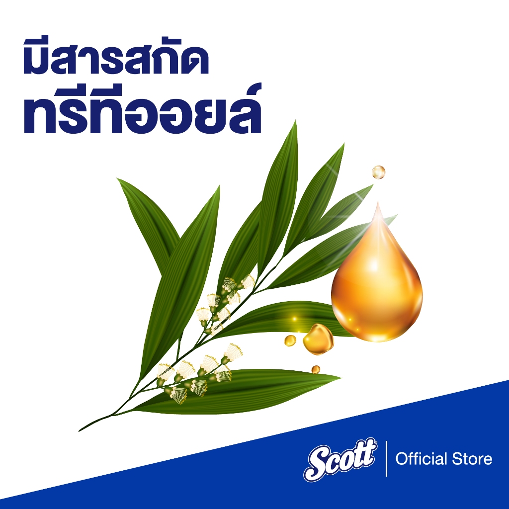กระดาษเช็ดทำความสะอาดสก๊อตต์®รุ่นลดแบคทีเรีย8 แผ่น 3 แพ็ค x4 Scott Towel Interfold Bacteria Reduction 84Sheets 3 pack x4 - รูปที่ 4