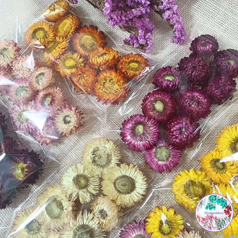 ดอกกระดาษแห้งแบ่งขายแยกโทนสีพร้อมส่ง