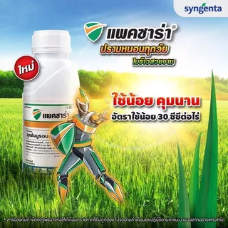 แพคซาร่า 500 cc.(ของแท้)( ลูเฟนนูรอน ) กำจัดหนอน คุมไข่ หนอนดื้อยา ยั้บยั้งการลอกคราบ หนอนม้วนใบ