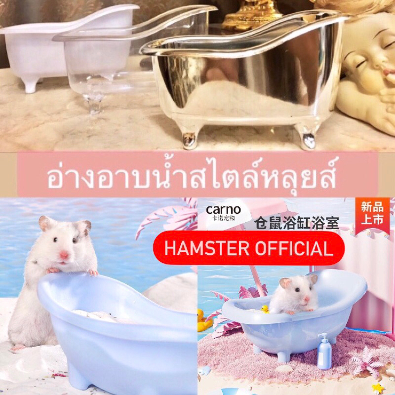 ร้านไทยส่งไว🥕อ่างอาบทรายแฮมเตอร์ อ่าง แฮมสเตอร์ อ่างสัตว์เล็ก ไจแอ้นท์ ชูก้าร์ นก Hamster Official