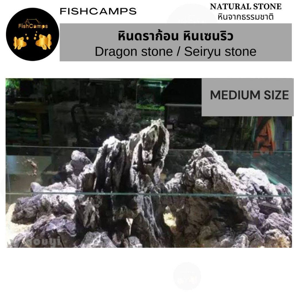 หินดราก้อน หินเซนริว "ก้อนกลาง" Dragon / Seiryu stone หินตกแต่งตู้ปลา หินตกแต่งตู้ไม้น้ำ หินแต่งสวน น้ำตก จัดสวนถาด