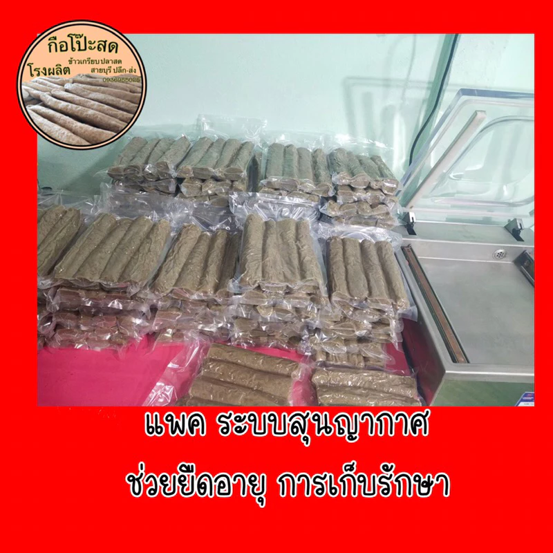#กือโป๊ะสด #กรือโป๊ะ #ซามารอเด็ง 1แพคน้ำหนักประมาณ 900-1000g (ไม่รวมน้ำจิ้ม) ผลิตสดใหม่ทุกวัน ส่งตรงจากโรงงานสายบุรี thumbnail 8