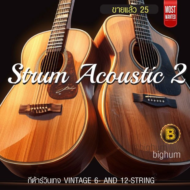 STRUMMED Acoustic 2 | KONTAKT Library | VST Software | windows / Mac
