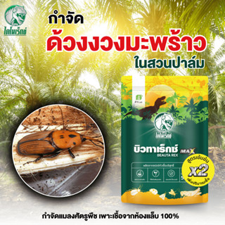 กำจัดแมลงศัตรูพืช ด้วงงวงมะพร้าว ในสวนปาล์ม และ พืชทุกชนิด บ…