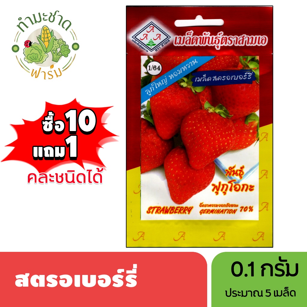 3A (ซื้อ10แถม1) เมล็ดพันธุ์ สตรอเบอร์รี่ ขนาด0.1กรัม ประมาณ5เมล็ด STRAWBERRY สตรอเบอรี่ เมล็ดพันธุ์พืช เมล็ดผัก ปลูกผัก