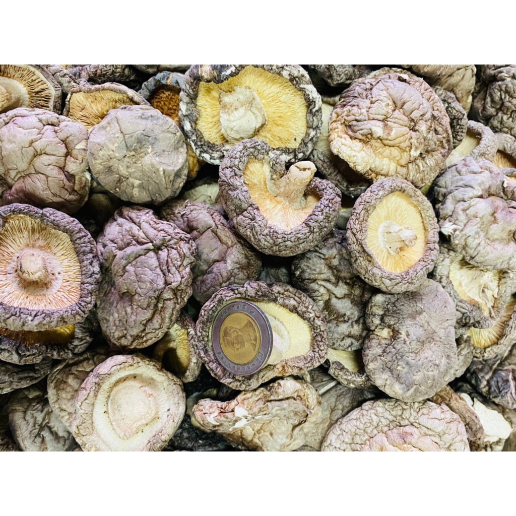 เห็ดหอม AA5 (1 กิโลกรัม) เนื้อหนา นุ่ม ดอกใหญ่