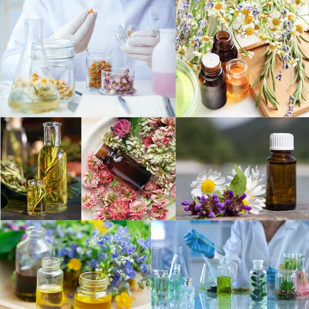 น้ำหอมวสันต์ปัญจมี PANJAMI ปันจามี่ น้ำหอมสายมู VASANT PANCHAMI องค์เทพ พระแม่สรัสวตี พระแม่สุรัสวดี สยามคเณศ - รูปที่ 6