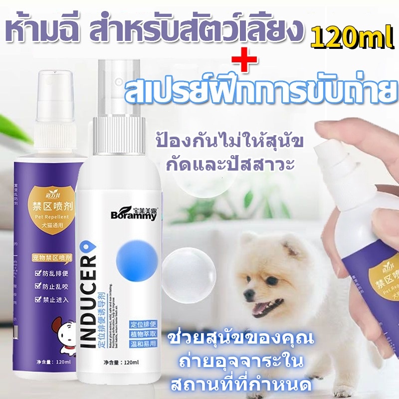 สเปรย์ฝึกสุนัขขับถ่าย ฝึกแมวขับถ่าย สูตรเข้มข้น ฝึกหมาและแมวขับถ่าย เพียงพ่น (เก็บเงินปลายทางได้ ส่งไว) ให้ฉี่ ห้ามฉี่