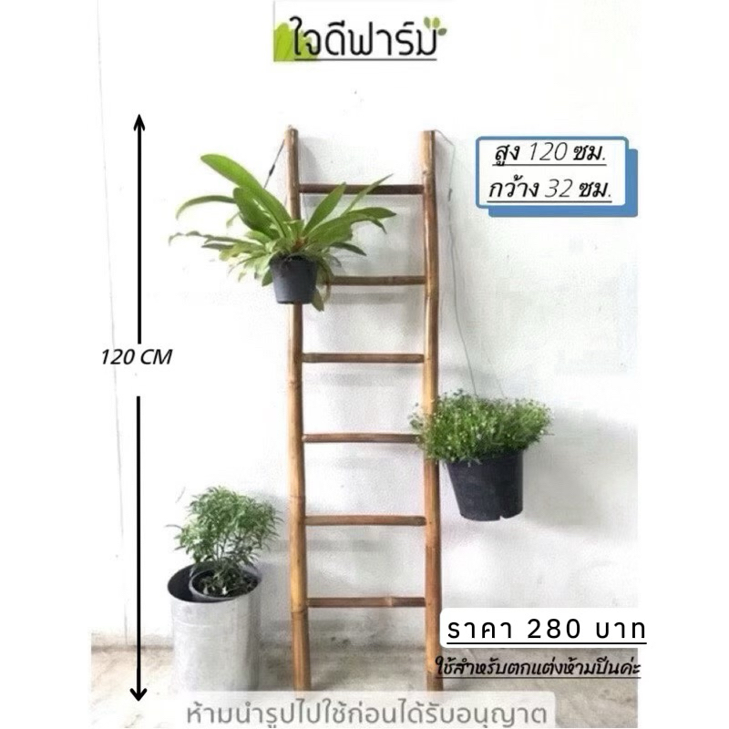 บันไดไม้ไผ่ ,ค้างไม้เลื้อย ,บันไดพาดผ้า(ห้ามปีน) ขนาด 120x32ซม.