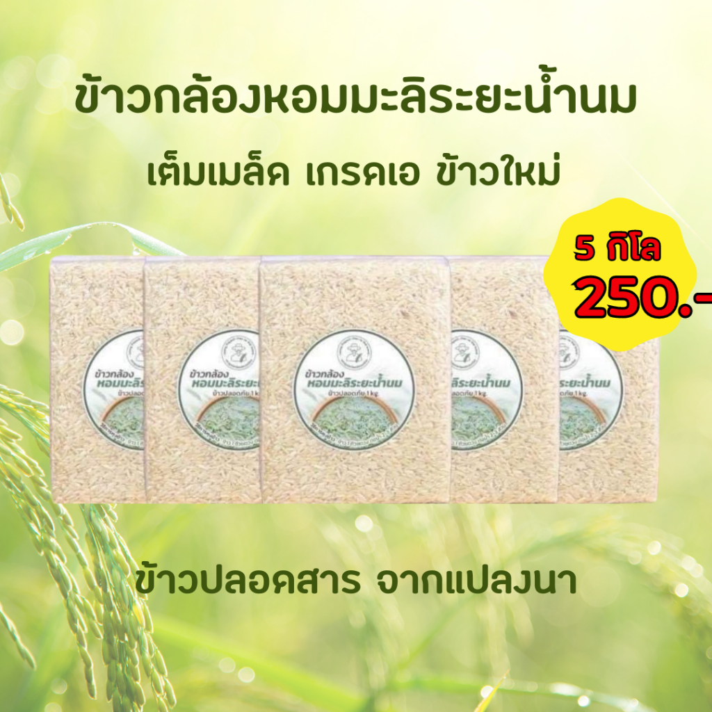 ข้าวกล้อง หอมมะลิระยะน้ำนม ออร์แกนิก ข้าวคัดพิเศษ ปลอดสาร 5 กิโล