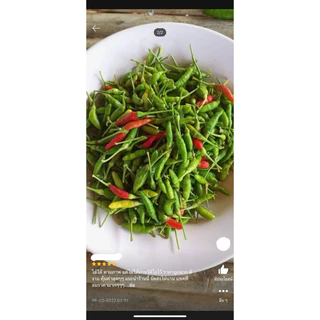 เมล็ดพันธุ์ พริกขี้หนูสวน 30 เมล็ด [ 10แถม2 ]คละได้