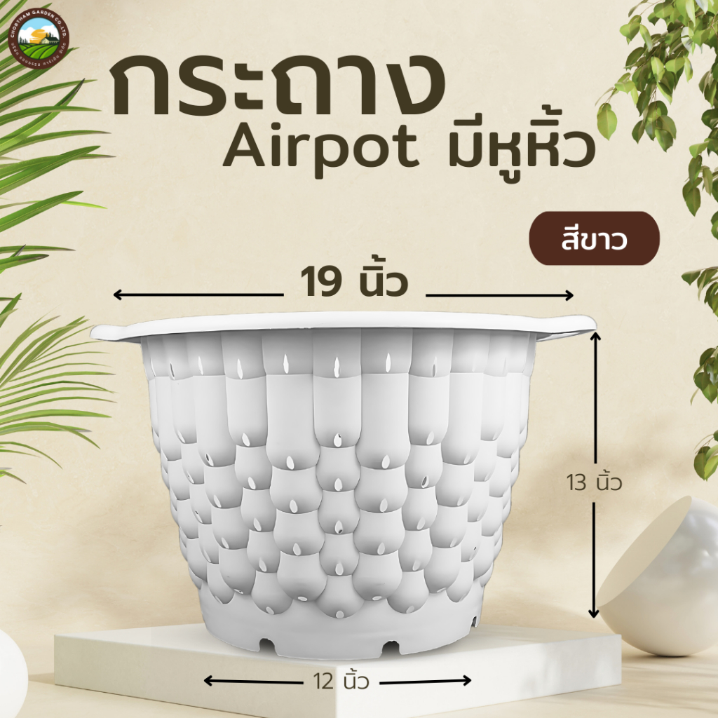 รุ่นใหม่ กระถาง Aripot มีหูหิ้ว 19 นิ้ว สีขาว สีดำ