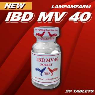 ลำปำ IBD MV40 จำนวน 20 เม็ด