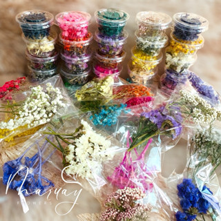 ดอกไม้แห้ง กระปุกและแบบถุง  ดอกไม้แห้งแบบกระปุกและดอกไม้แห้ง…