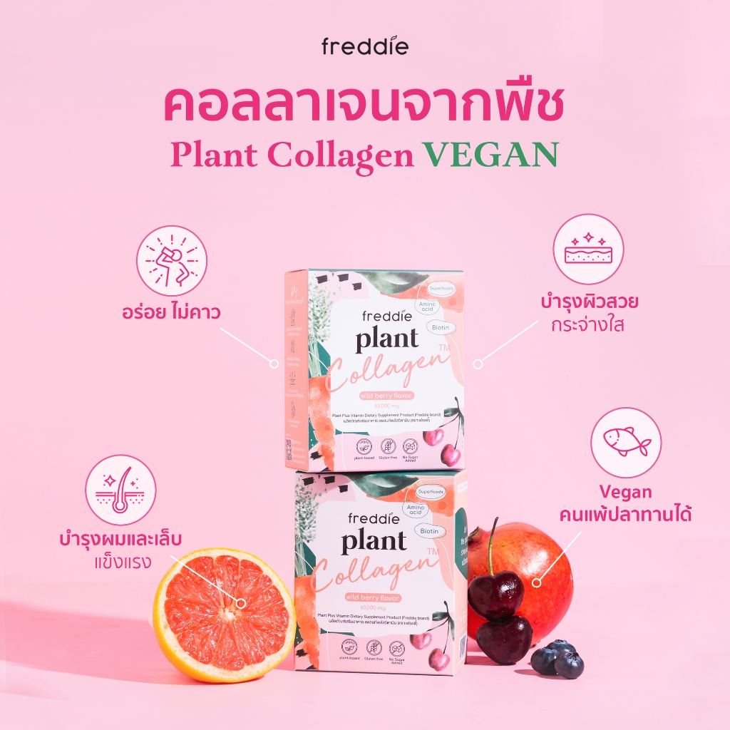 New Lot 2 กล่อง Freddie Plant Collagen เฟรดดี้ คอลลาเจนจากพืช vegan No Sugar วีแกน เจทานได้