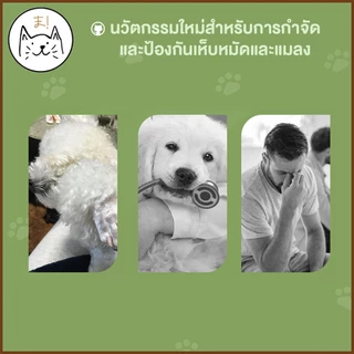KUMAま ปลอกคอกันเห็บ สุนัข แมว ปลอกคอสัตว์เลี้ยง กันเห็บหมัด ปลอกคอแมว สุนัข M/L