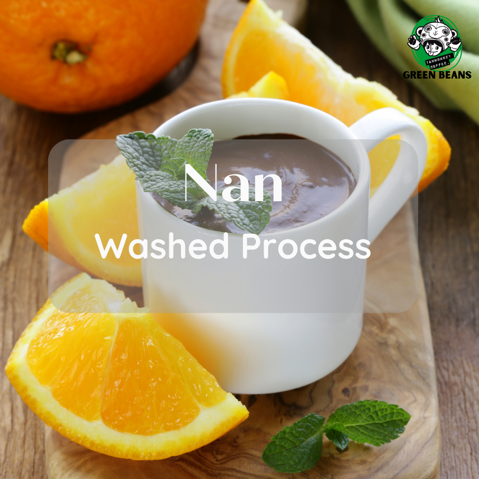 New Lot สารเมล็ดกาแฟน่าน Nan Washed Process 1000g