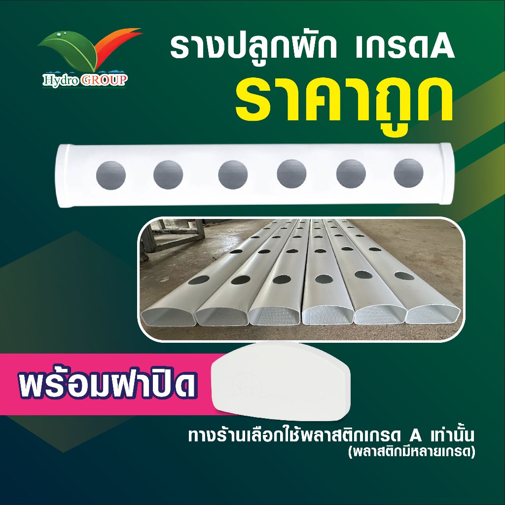 รางปลูกผักไฮโดรโปนิกส์แบบน้ำนิ่ง ยาว 43 ซม. 6 ช่องปลูก by hydroponicgroup