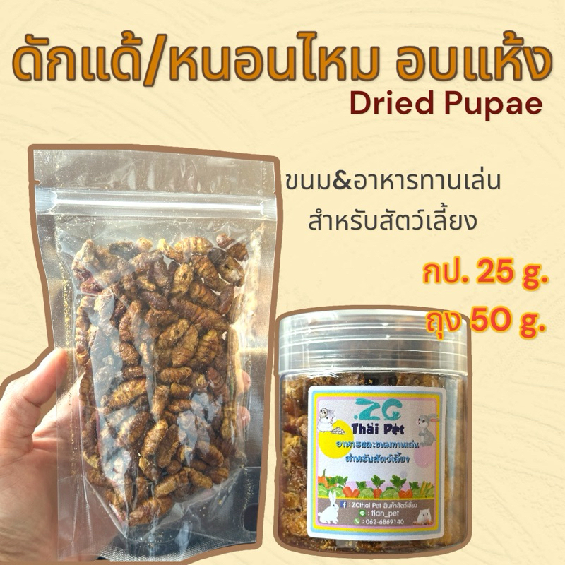 ซื้อ [ZC] หนอนไหม/ดักแด้ อบแห้ง Dried Pupae ขนม&อาหารทานเล่นสำหรับสัตว์เลี้ยง