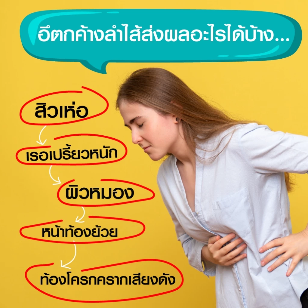 Donutt Brand ดีท็อกซ์ โพรไบโอติกส์ Donutt fiber โทเทิล ไฟบีลี่ พลัส โพรไบโอติกส์ ไฟเบอร์ กลิ่นสับปะรด 5 กล่อง thumbnail 4