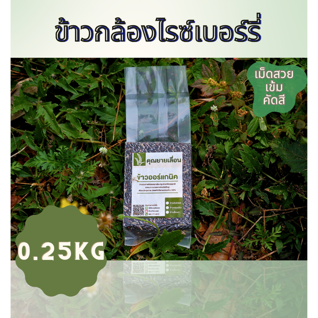 🌾ข้าวกล้องไรซ์เบอร์รี่ ขนาด 250 กรัม✅คัดสี🔥สีข้าวใหม่ทุกวันตามคำสั่งซื้อ 🔥ปลอดสารจากเกษตรกร จ.พัทลุง