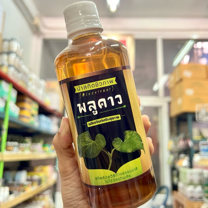 น้ำพลูคาว สกัดชีวภาพ (Bioextract) 480 มิลลิลิตร