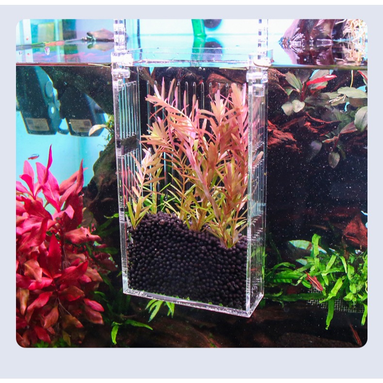 VOONLINE ACRYLIC ISOLATION BOX กล่องแขวนกระจกทรงแบน พักปลา กล่องแยกปลา ปลูกไม้น้ำ ลูกปลา กักปลา เพาะพันธ์ปลา ปลาสวยงาม