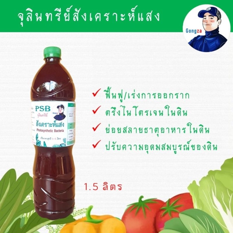 จุลินทรีย์สังเคราะห์แสง PS Photosynthetic Bacteria เร่งและฟื้นฟูราก ย่อยสลายธาตุอาหาร ดินร่วนซุย เพิ่มอินทรีย์วัตถุดิน