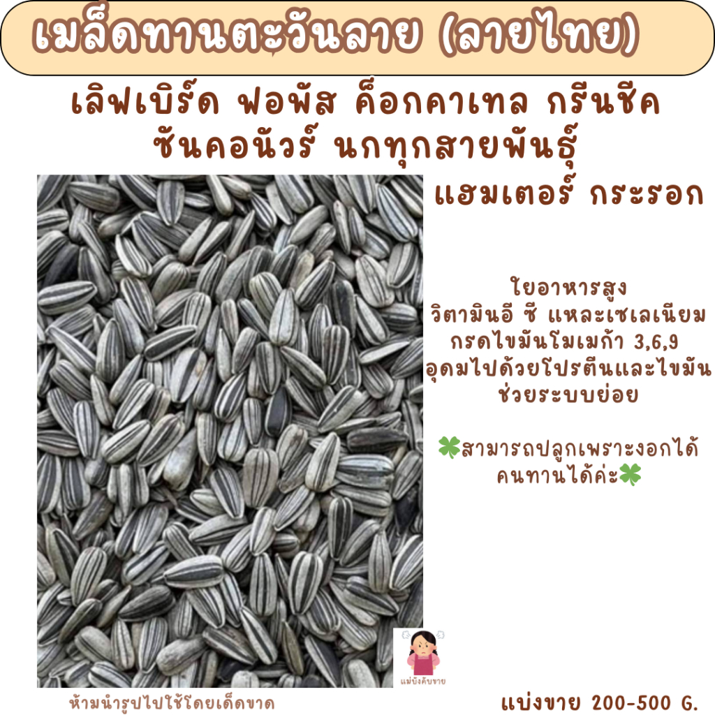 เมล็ดทานตะวันลาย  (แบ่งขาย 200-500 G.) อาหารนกแก้วขนาดเล็กกระรอก หนูแฮมสเตอร์ และ สัตว์ฟันแทะ