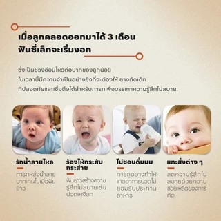 AIKOKY ซิลิโคน ยางกัดเด็ก บรรเทาอาการปวดเหงือกเมื่อทารกเป็นหมากฝรั่ง ของเล่นเด็ก ยางกัดเด็กทารก