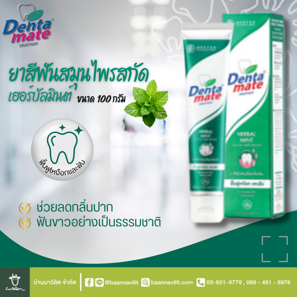 ยาสีฟันสมุนไพรเข้มข้น สูตรเฮอร์เบอมินต์ DentaMate เดนตาเมท (ปริมาณสุทธิ100 กรัม)