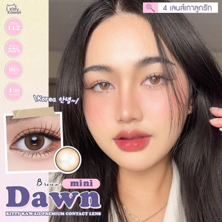 🔥คอนแทคเลนส์ ✨ขนาดมินิ✨ Mini Dawn (kittykawaii) 🎀สี : Brown / Gray / Light Brown