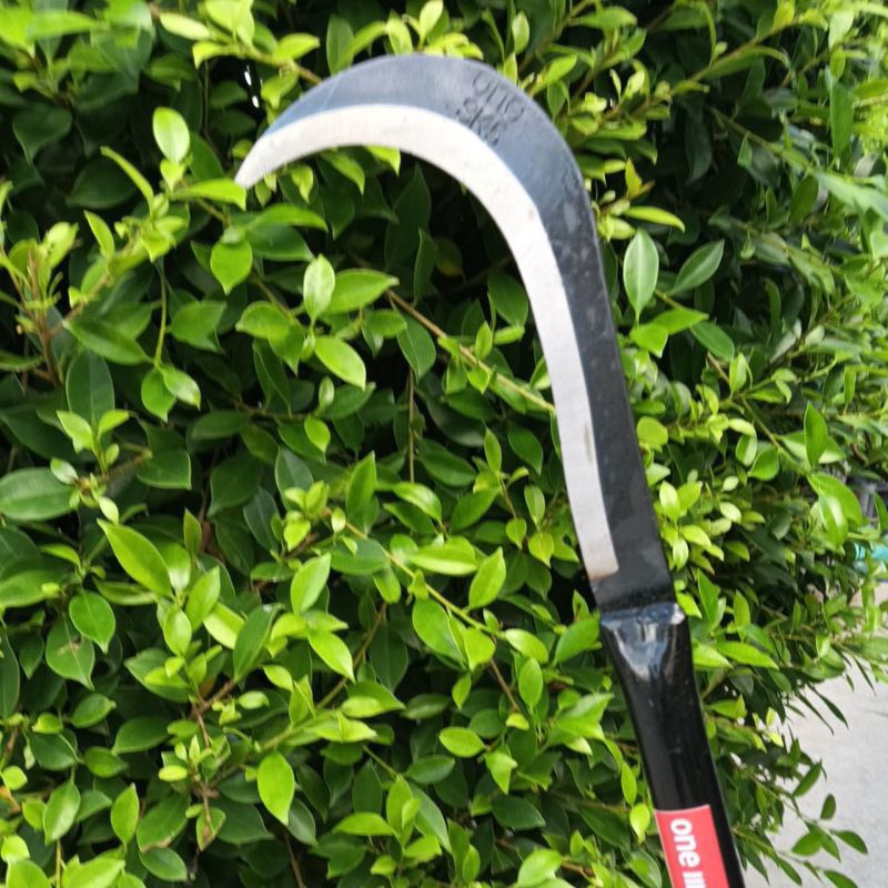 ขอเคียวถางหญ้า(รุ่นหนา 3มิล)ทำมาจากเหล็กSK5)ด้ามเหล็กยาวใบมีดคมพิเศษ - รูปที่ 5