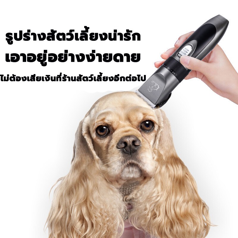 รูปภาพ 2