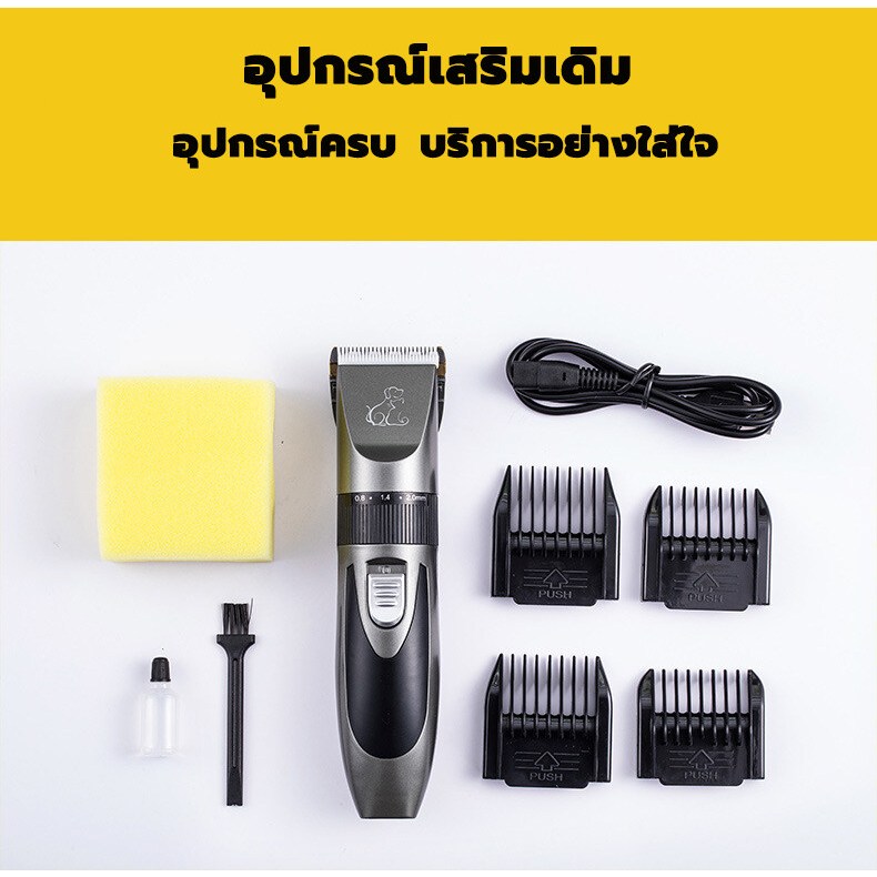 รูปภาพ 9