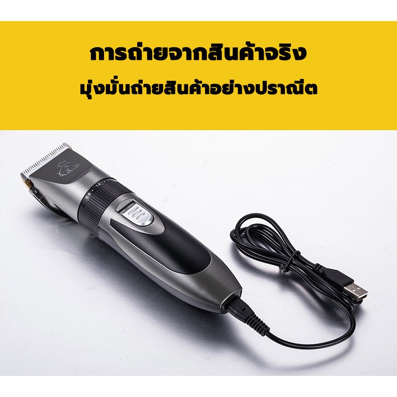 รูปภาพ 8