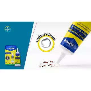 Bayer Quantum/Blattanex Gel ไบเออร์ ควอนตั้ม/แบลททาเน็กซ์ เจล [12 g.] กำจัดมด กำจัดแมลงสาป เหยื่อมด เหยื่อแมลงสาป เจลกำจ