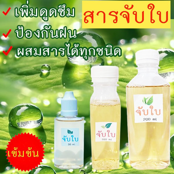 สารจับใบเข้มข้น🎯ถูกที่สุด19บ.🎯สารจับใบแบ่งขาย 30cc 100cc 200cc🌼ออร์แกนิกส์🎈เพิ่มดูดซึม☘️ป้องกันน้ำชะใบ🌿ผสมได้ทุกสาร