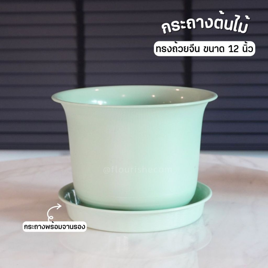 กระถางทรงถ้วยจีน ขนาด12นิ้ว ชุดพร้อมจาน กระถางพลาสติก กระถางมินิมอล