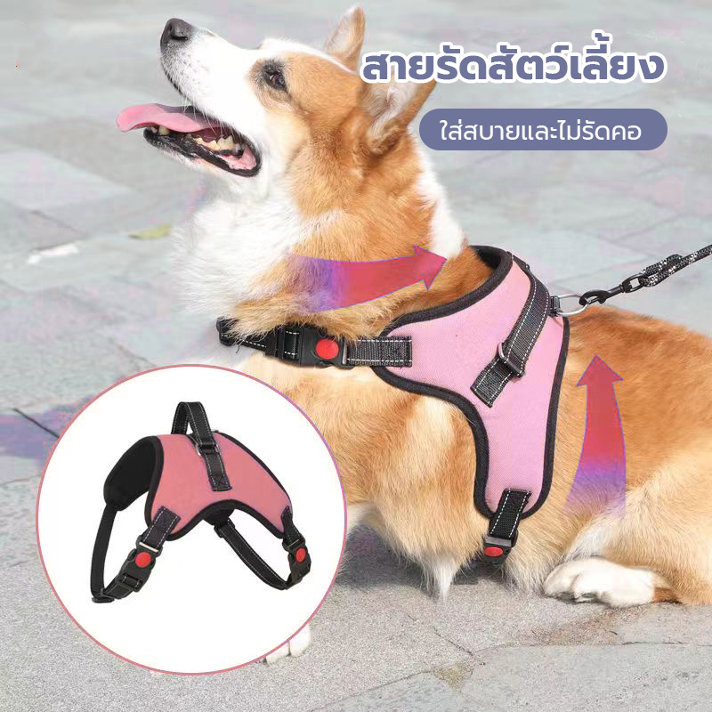 สายจูงสัตว์เลี้ยง สายรัดสัตว์เลี้ยง หน้าอกและหลังสุนัข สายจูงแมว สะท้อนแสงกลางคืน ขนาดปรับได้ หลากหลายสไตล์