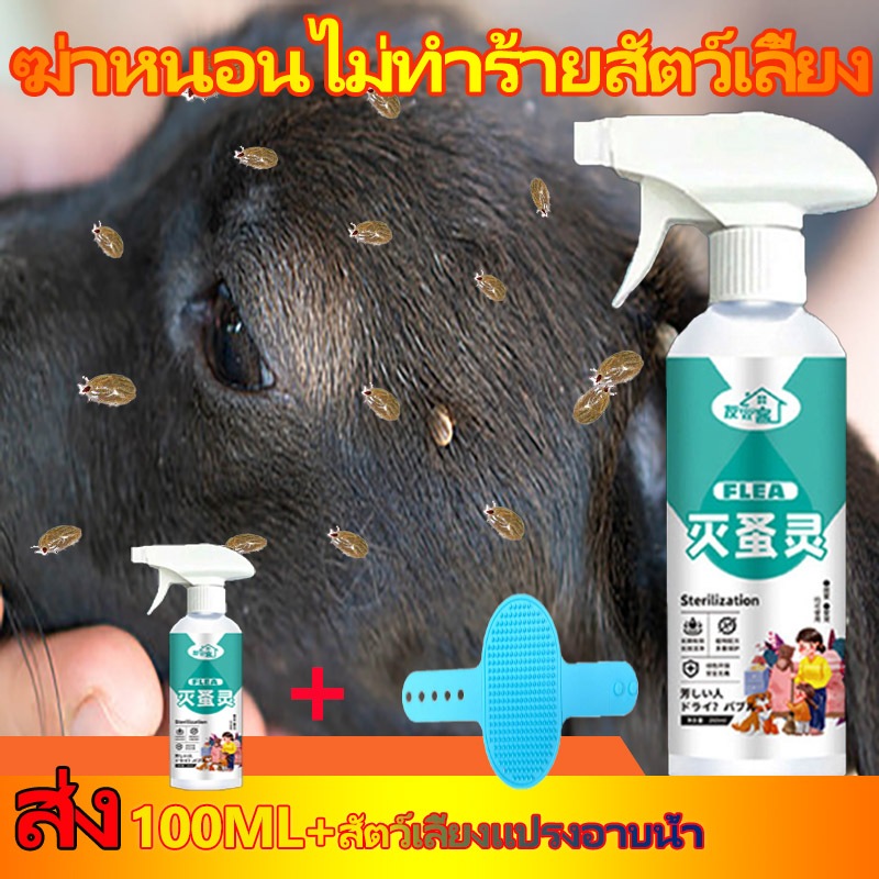 ซื้อ 1 แถม 2 สเปรย์กำจัดเห็บ กำจัดเห็บหมัด ยากำจัดเห็บหมา ไม่ทำร้ายคน และสัตว์ 500ml+100m lแถม - แปรงสัตว์เลี้ยง